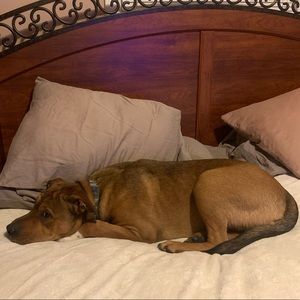 Meet your Posher, Deanna